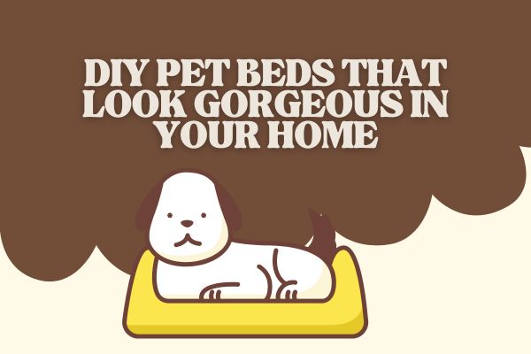DIY Pet Beds That Look Gorgeous in Your Home