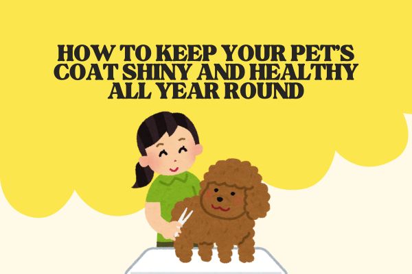 healthy pet coat