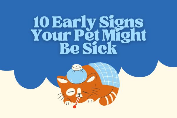 pet sickness signs