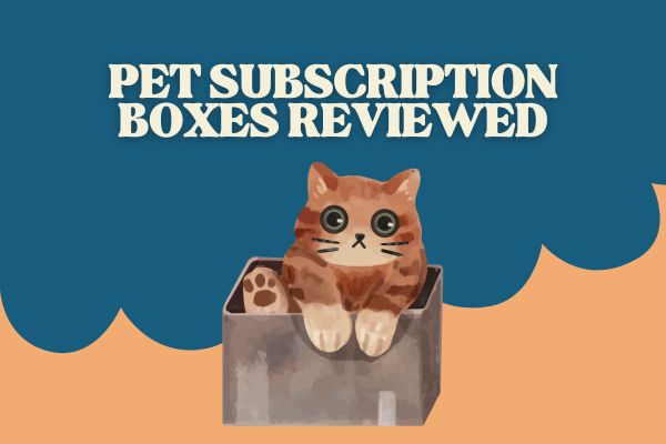 Pet Subscription Boxes Reviewed: Are They Worth It?