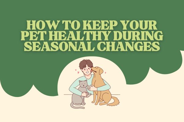 How to Keep Your Pet Healthy During Seasonal Changes