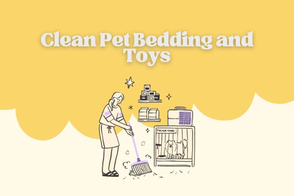 Clean Pet Bedding and Toys