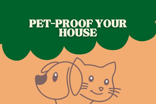 Pet Proof Your House