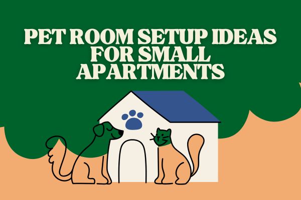 Pet Room Setup Ideas for Small Apartments