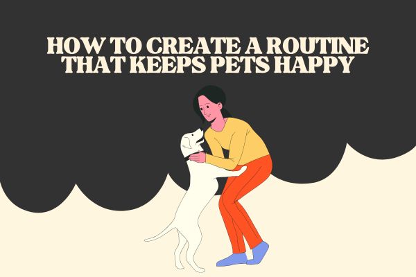 How to Create a Routine That Keeps Pets Happy