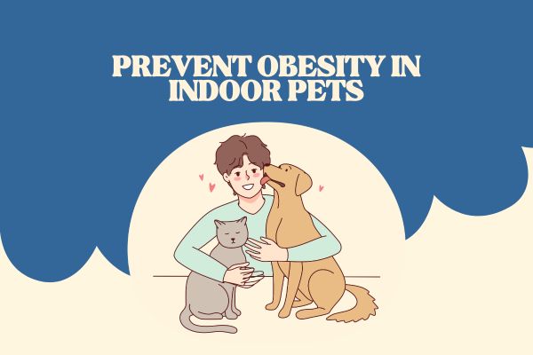 How to Prevent Obesity in Indoor Pets Through Diet