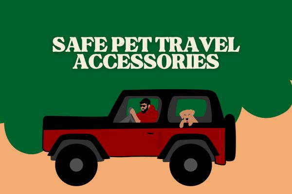 Safe Pet Travel Accessories