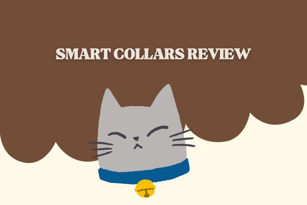 Review: Smart Collars & GPS Trackers — Are They Worth It?