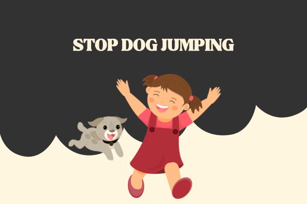 How to Stop Your Dog From Jumping on Guests