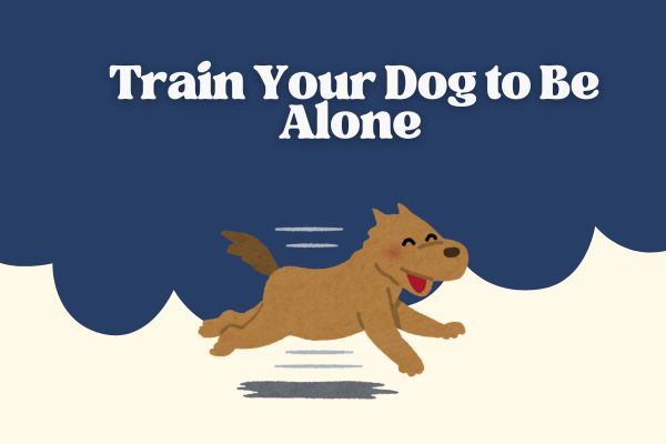 Train Your Dog to Be Alone