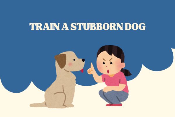 How to Train a Stubborn Dog (Step-by-Step Guide)